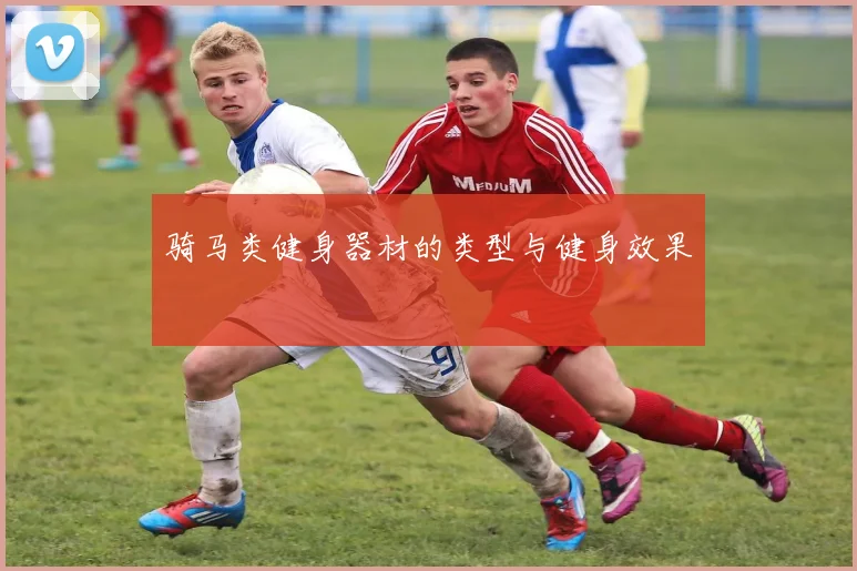 骑马类健身器材的类型与健身效果