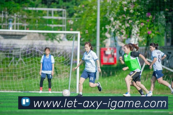 爱游戏APP 封面图